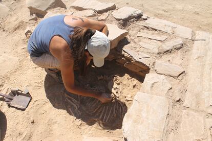 Una arqueóloga extrae los restos de un caprino en el yacimiento de El Castillón.