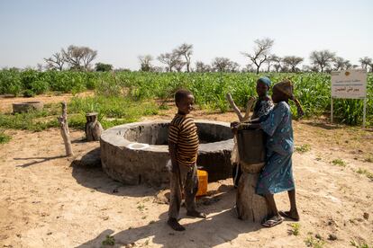 Unos niños cogen agua en el pozo de Ara. Desde junio de 2021, MSF trabaja en actividades de tratamiento de agua en 15 aldeas de la comuna de Bandé, en Magaria, al sur de Níger, para prevenir el desarrollo de larvas de mosquitos en mosquitos adultos.
