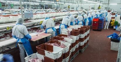 Trabajadores del matadero Fribin, en Bin&eacute;far (Huesca)