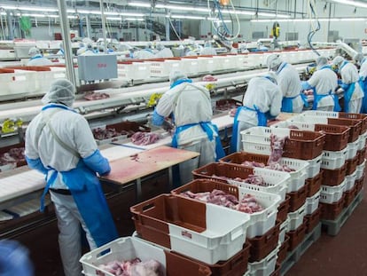 Trabajadores del matadero Fribin, en Bin&eacute;far (Huesca)