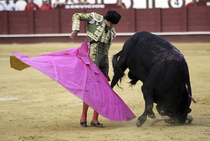 Miguel Ángel Perera se adorna con el capote ante el toro, que clava sus cuernos en la arena.