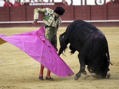 Miguel Ángel Perera se adorna con el capote ante el toro, que clava sus cuernos en la arena.