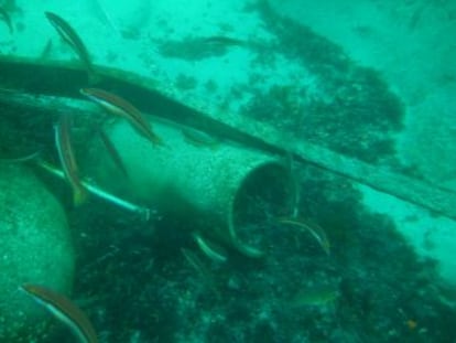 A German sub has been uncovered after years of research, unsuccessful dives and a local tipoff