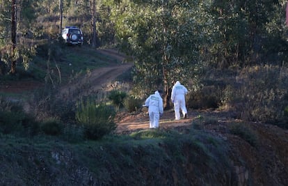 Los agentes inspeccionan la zona donde ha aparecido el cuerpo de Laura Luelmo en busca de pruebas. 