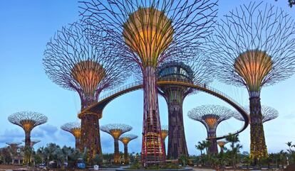 Pasarelas cogantes de parque Gardens by the Bay, en Singapur