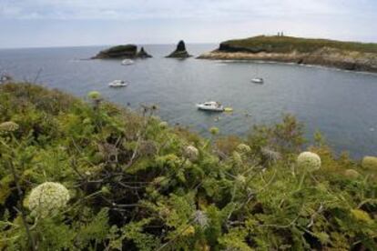 Parque natural de las Islas Columbretes (Castellón).