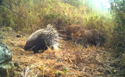 Reservas naturales