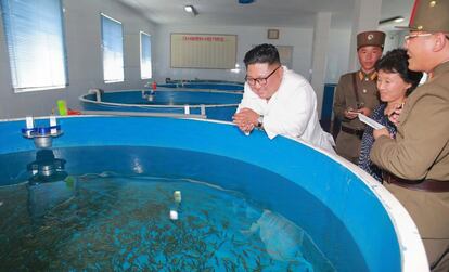 Esta foto sin fecha publicada por la Agencia Central de Noticias de Corea (KCNA) el 17 de julio de 2018 muestra al líder norcoreano Kim Jong Un  visitando la granja de salmón Rajin, mantenida por la Unidad 810 del Ejército Popular de Corea (KPA), en un lugar no revelado.