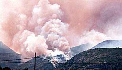 Incendio en la zona de Barranc de l'Infern, en Villalonga (La Safor).