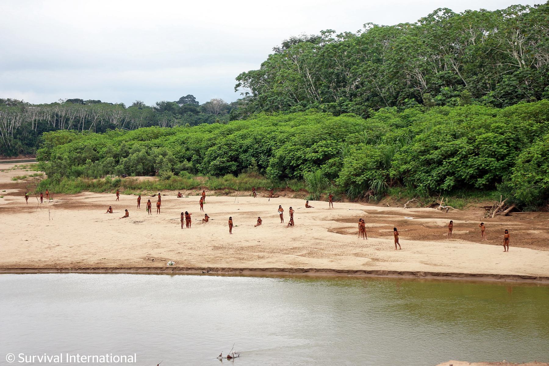 Las imágenes publicadas por Survival International en agosto de 2024 muestran a decenas de personas del pueblo Mashco Piro, aislado en Perú, a pocos kilómetros de concesiones madereras.