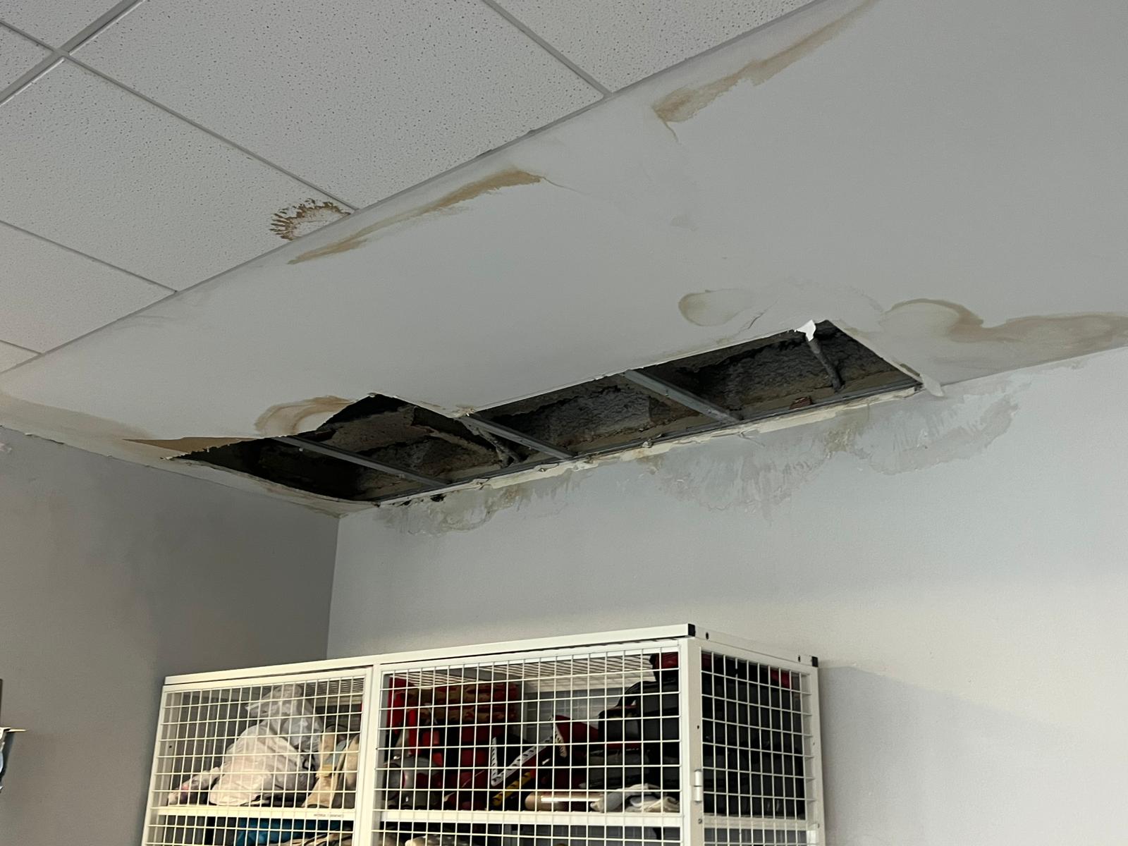 Humedades y techos caídos en el CDM XXX, en Madrid, en una fotografía cedida.