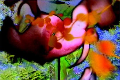 Imagen del vídeo &#39;I want to see how you see&#39;, de Pipilotti Rist.