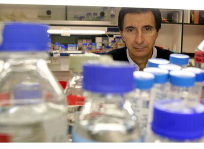 El virólogo Juan Ortín, en su laboratorio del Centro Nacional de Biotecnología (CSIC).
