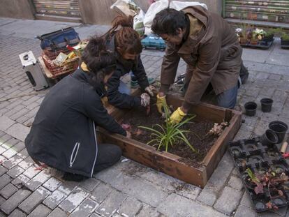 Los vecinos plantan en los alcorques de los árboles en la calle La Palma.