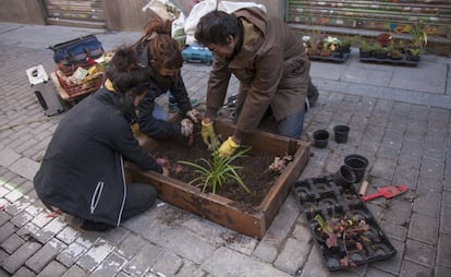 Los vecinos plantan en los alcorques de los árboles en la calle La Palma.