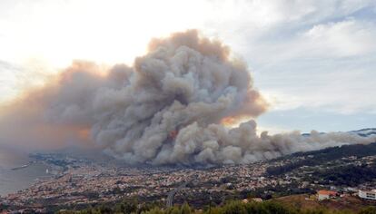 El humo del incendio se levanta sobre Funchal, isla de Madeira (Portugal).