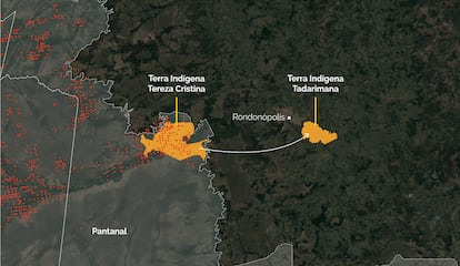 Indígenas relataram que, terra Tadarimana, próximo a Rondonópolis e fora do Pantanal, sofreu antes com as queimadas. Pessoas precisaram ir para lá quando as queimadas passaram à terra Tereza Cristina, em agosto e setembro.