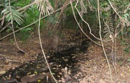 Uno de los canales que aún conserva un curso de agua durante la estación húmeda.