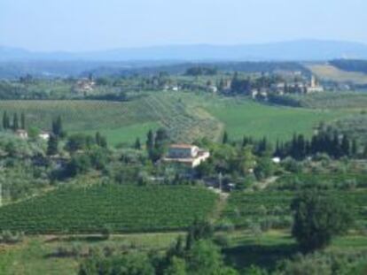 Valle y colinas verdes se combinan en la campi&ntilde;a toscana.