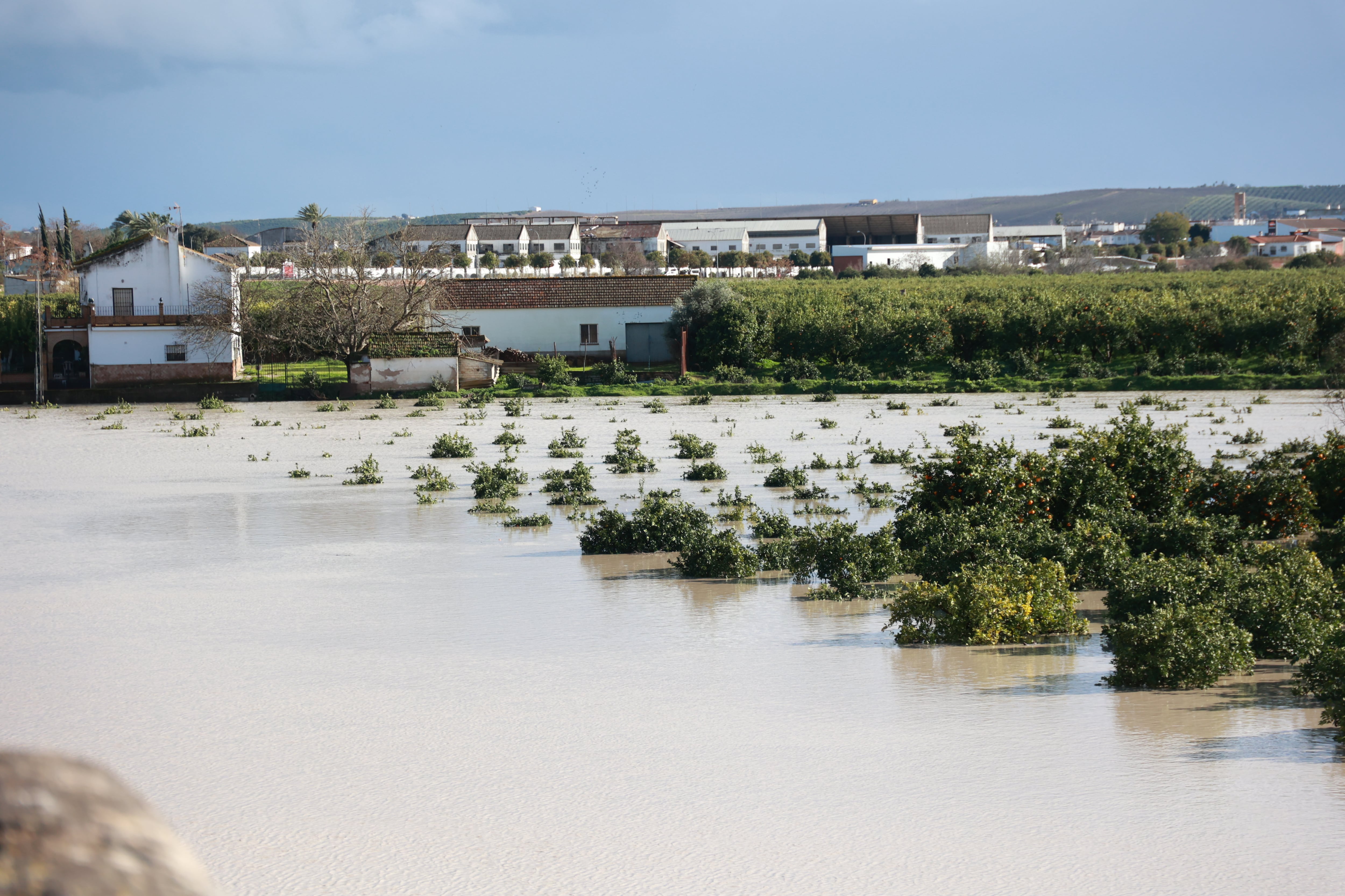 BMBLMR7QDBLSBPH3NLZRIHMLXU.jpg?auth=4c50ce5ecc0904dff9c6b9d5dc89089bd866f7c41ff190580d94bd32bc58abba