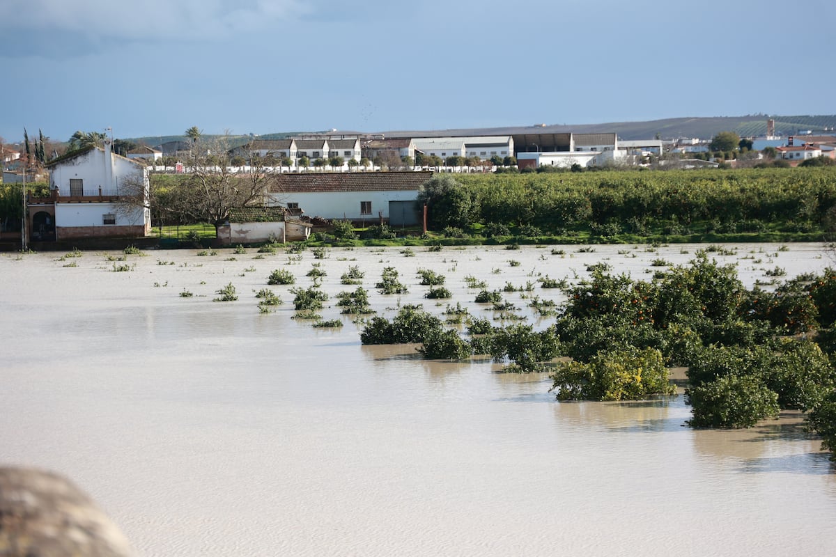 Últimas noticias del temporal ‘Marta’, en directo | Más de 11.000 desalojados en Andalucía ante la llegada de una nueva borrasca