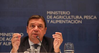 El ministro de Agricultura y Pesca en funciones, Luis Planas