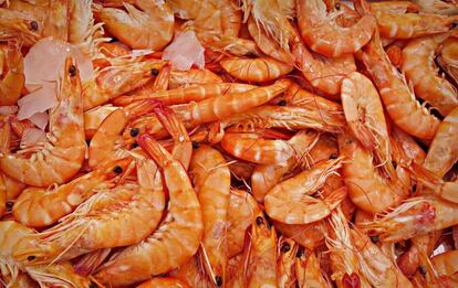 Las gambas acumulan cuatro veces más cadmio en la cabeza que en el cuerpo.