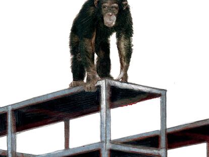 Sobrevivir a los malos gobernantes