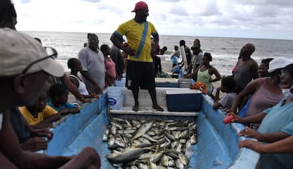 Miembros del grupo étnico garifuna rodean al pescador Santos Centeno para adquirir algo de pescado en la playa de Triunfo de la Cruz, en Honduras, el 5 de agosto de 2020.