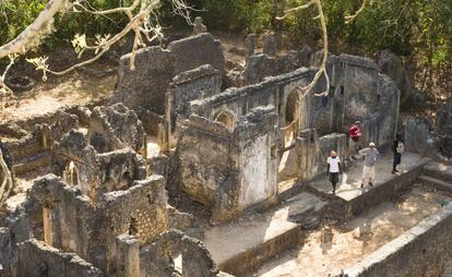 Visitantes en las ruinas de Gede, en la reserva forestal de Arabuko Sokoke (Kenia).