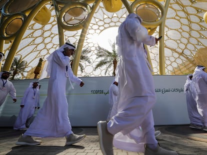 Attendees at the Dubai COP28