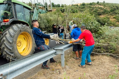 Varios vecinos de Riaño retiran ramas cerca de la localidad leonesa con un tractor.