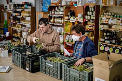 Agricultores ecológicos en Guadalajara abastecen a pequeños comercios de la zona, superando, como pueden, los inconvenientes de la crisis del coronavirus.