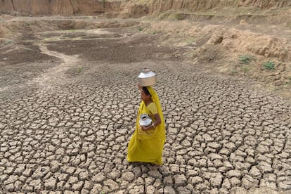 Una mujer india camina en busca de agua por las tierras secas de un estanque en el pueblo de Mehmadpur, cerca de Ahmedabad. 8 de julio de 2014.