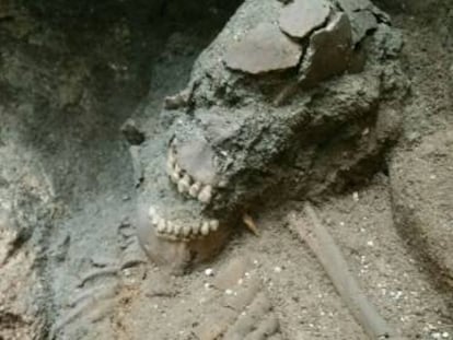 L'excavació del barri de la Ribera de Barcelona