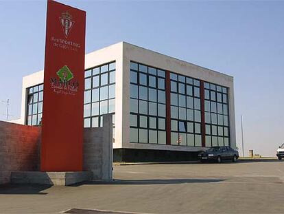 Escuela de fútbol del Sporting de Gijón en Mareo (Asturias).