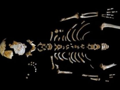 Una investigación reconstruye el crecimiento de un chico de 8 años que vivió en lo que hoy es Asturias hace 49.000 años