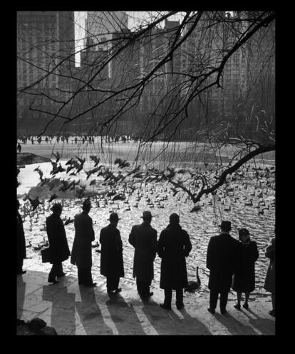 Gente dando de comer a los patos y los cisnes de Central Park, una mañana de 1943.