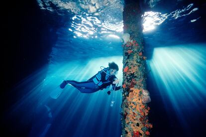 Sylvia Earle en una de las expediciones submarinas de la iniciativa Mission Blue.