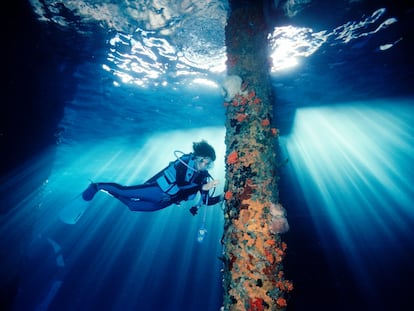 Sylvia Earle en una de las expediciones submarinas de la iniciativa Mission Blue.