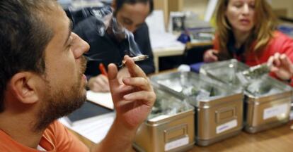 Consumidores de marihuana en la sede de la asociación Pannagh, en Bilbao.