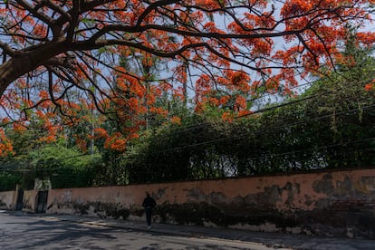 Calle Humboldt en Cuernavaca, Morelos