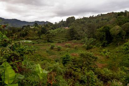 Uma das áreas de recarga da Reserva Natural de Chome. Essas regiões estão protegidas porque são peça fundamental do ciclo integral da água nessas bacias. Coletam, filtram e liberam de maneira progressiva a água da chuva das montanhas, que depois abastecerá o fluxo do Yongoma. Toda a atividade humana é proibida, mas muitos agricultores plantam nas regiões por causa das boas condições do solo. As alterações dessas áreas afetarão a vida de milhares de pessoas nos cursos médio e baixo do rio.