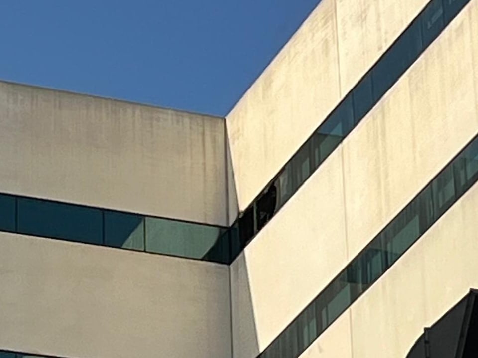 las dos ventana de la habitación donde este lunes se ha producido un incendio en La Fe.