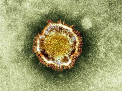 O coronavírus se manifestou em 16 países.