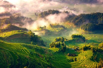 Durante cientos de años, estas terrazas instaladas junto a las montañas han mejorado las condiciones de los agricultores locales pero, además, han aumentado la producción de arroz. En la foto, Xinhua Ziquejie, también en China.