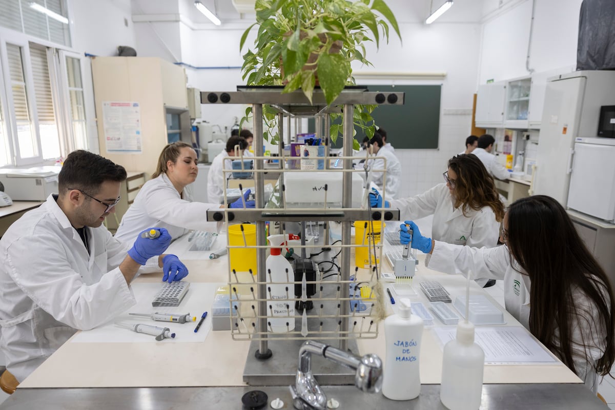 Las carreras más codiciadas por los jóvenes tras la Selectividad: Tecnología, Salud y también Relaciones Internacionales