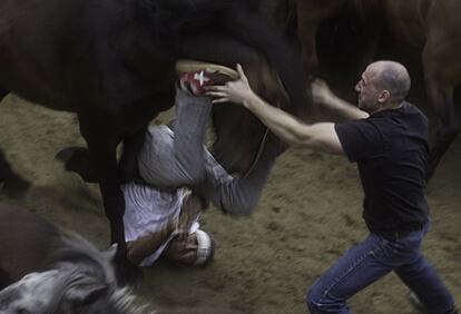 Adrián Irago Romero ha sido premiado en la categoría de Naturaleza y Tradiciones, con esta fotografía en la que retrata a un 'aloitador' cayendo de un caballo durante la 'rapa das bestas' de Sabucedo.