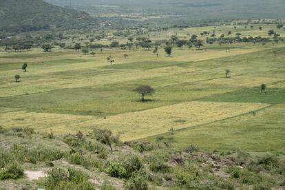 La escasez de tierras agrícolas, el acceso limitado a la educación y a otros servicios esenciales, y la práctica ausencia de oportunidades laborales distintas de la agricultura de subsistencia, son otros factores que interactúan en esta situación y que empujan a las personas, especialmente a las y los jóvenes, a abandonar sus lugares de origen. A pesar de esto, una de las entrevistadas en Arsi por la ONG, cree que esto podría cambiar con la ayuda adecuada. "Si se apoya a la juventud para que permanezca y trabaje en sus propias zonas, cambiando diferentes cultivos, puede mejorar por sí misma y sus comunidades a pesar de la escasez de agua y la muerte del ganado”.