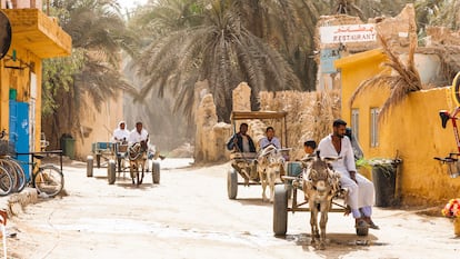 One of the main streets in the center of the Siwa Oasis, Egypt